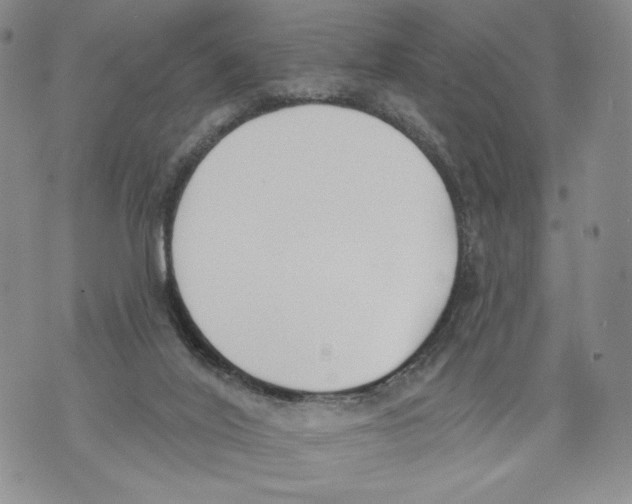 X0000071770020200607282224