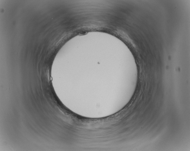 X0000071770021200607282224