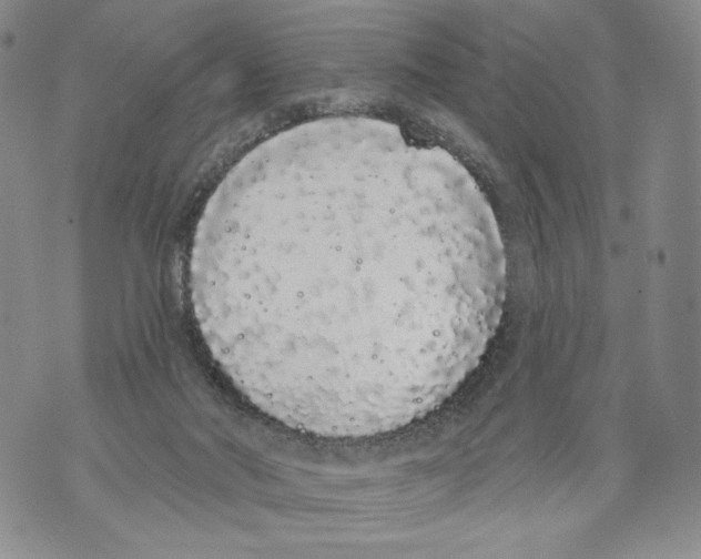 X0000071770022200607282224