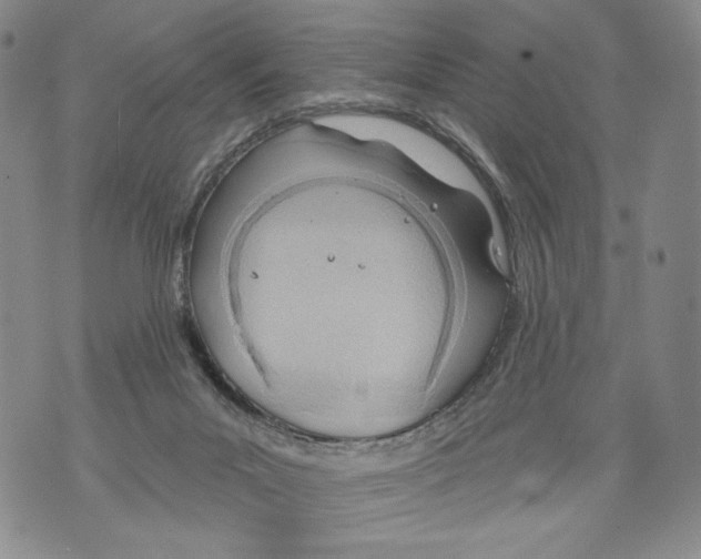 X0000071770023200607282224