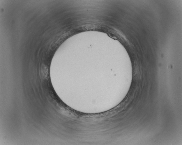 X0000071770025200607282224