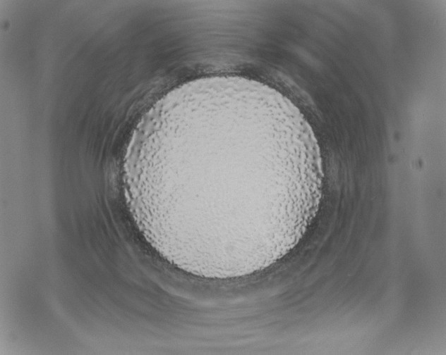 X0000071770026200607282224