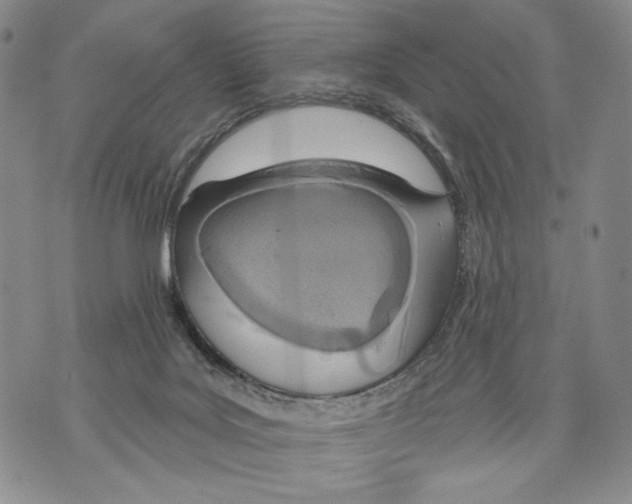 X0000071770027200607282224