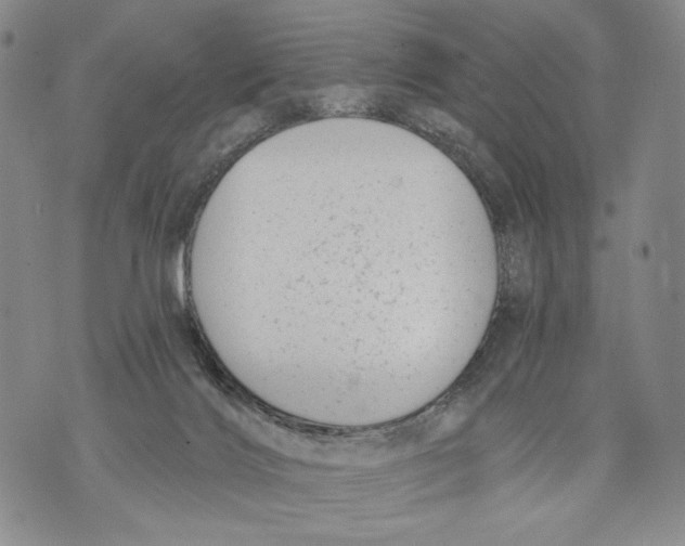 X0000071770028200607282224