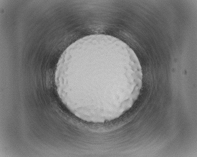 X0000071770030200607282224