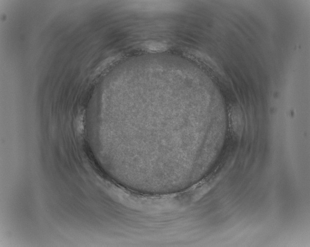 X0000071770032200607282224