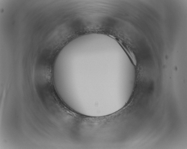 X0000071770033200607282224