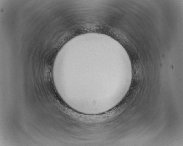 X0000071770034200607282224