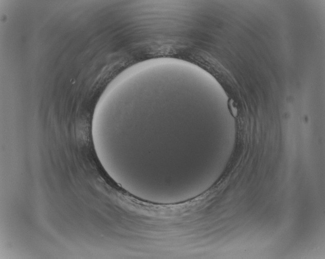 X0000071770035200607282224