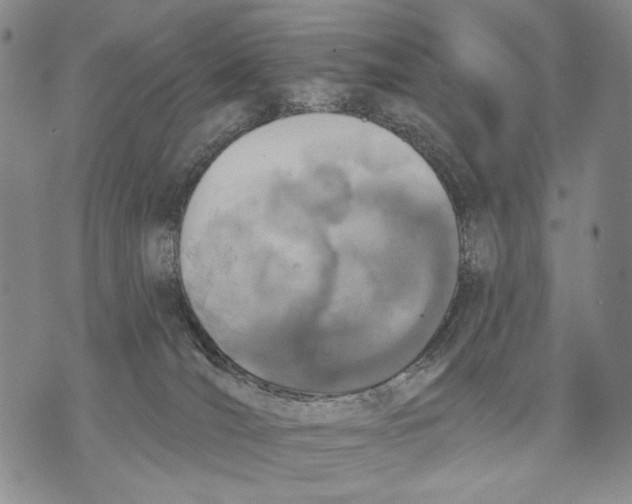 X0000071770036200607282224