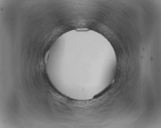 X0000071770037200607282224