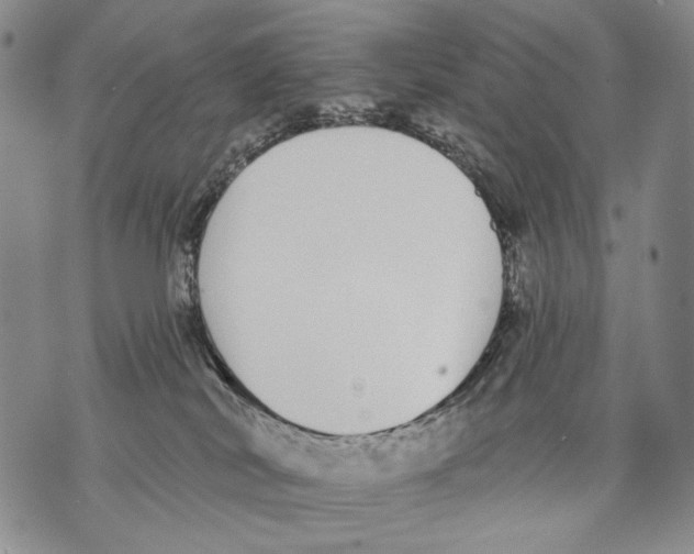 X0000071770038200607282224