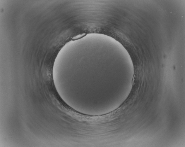 X0000071770039200607282224