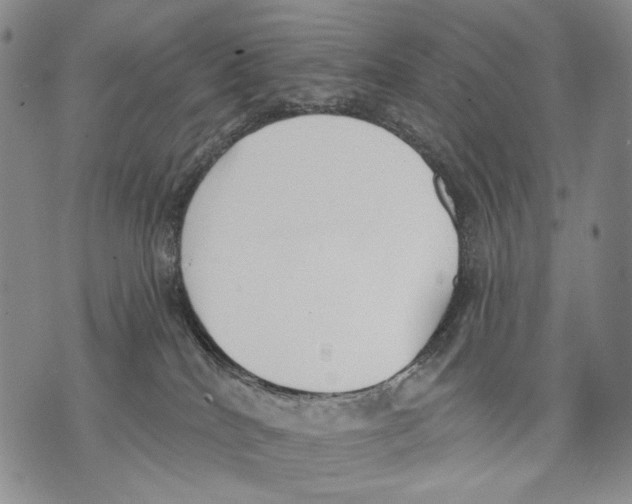 X0000071770040200607282224