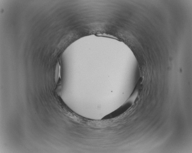 X0000071770041200607282224