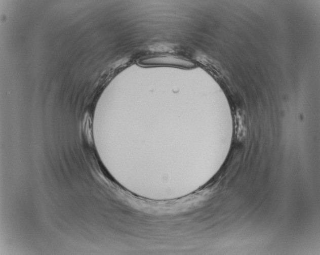 X0000071770042200607282224