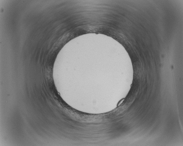 X0000071770044200607282224