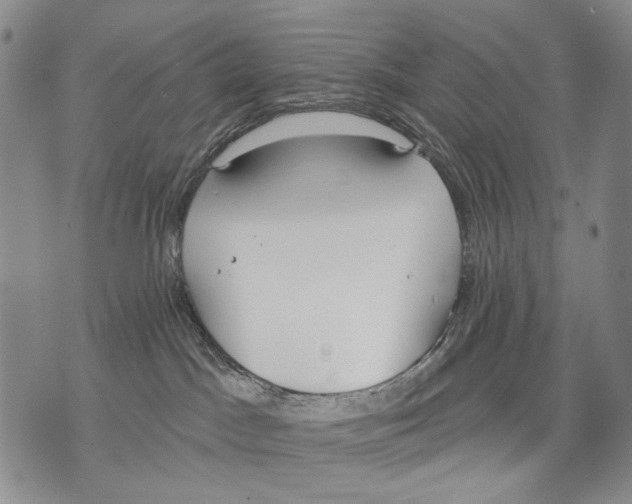 X0000071770045200607282224