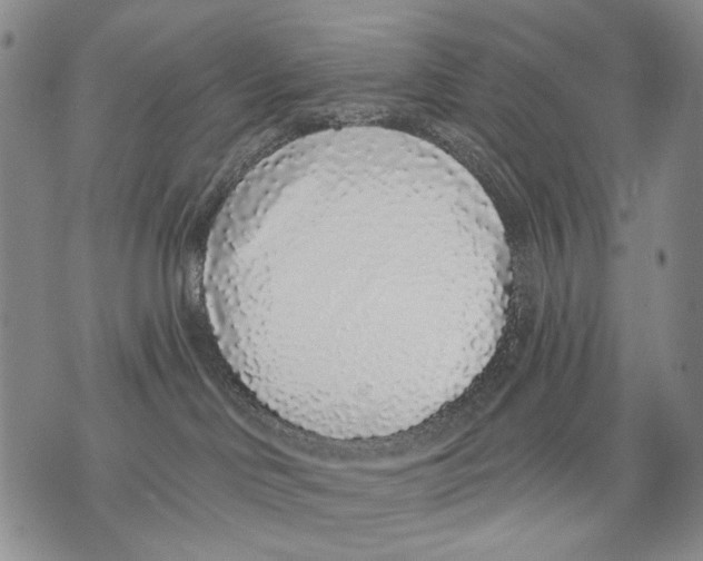 X0000071770046200607282224