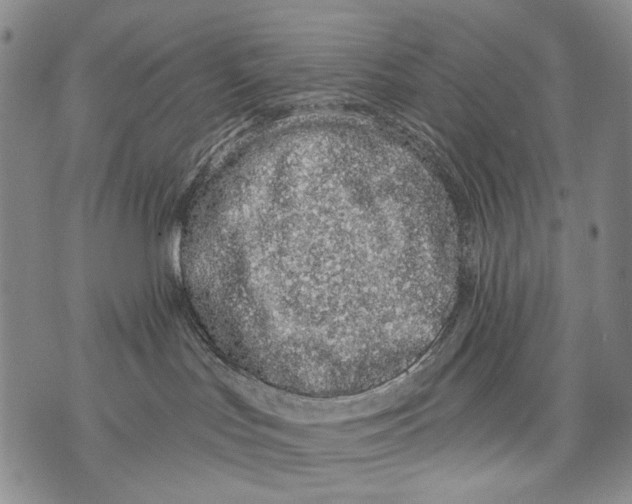 X0000071770047200607282224