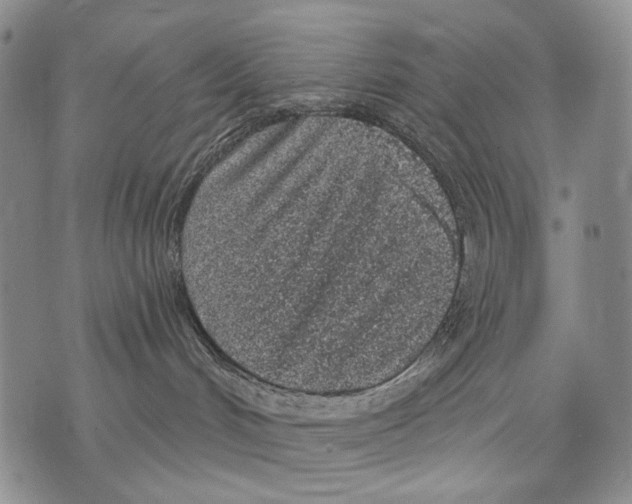 X0000071770048200607282224