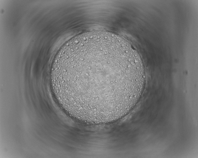 X0000071770049200607282223