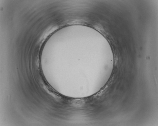 X0000071770050200607282223