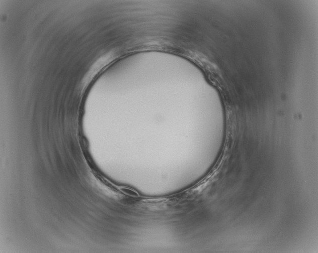 X0000071770051200607282223