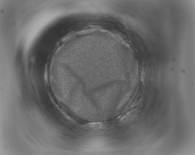 X0000071770052200607282223