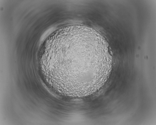 X0000071770053200607282223