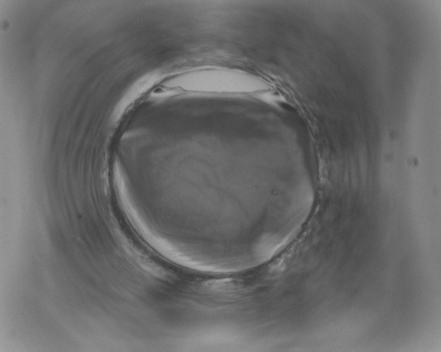 X0000071770054200607282223