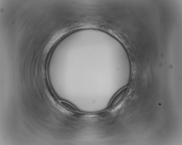 X0000071770055200607282223