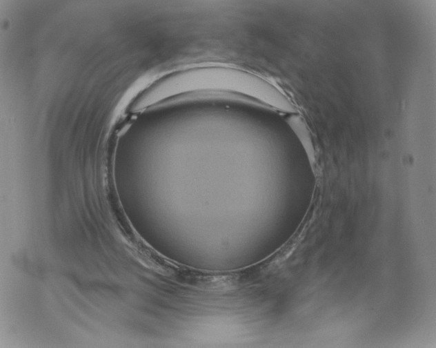 X0000071770056200607282223