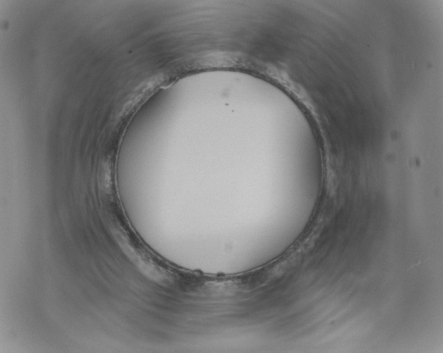 X0000071770057200607282223