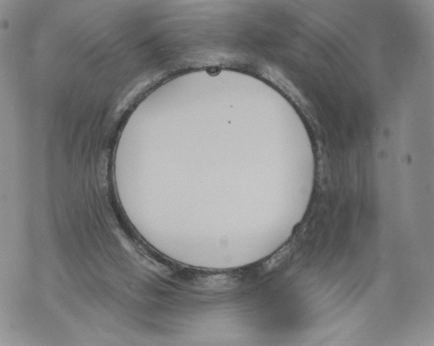 X0000071770058200607282223