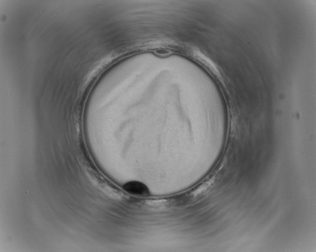 X0000071770059200607282223