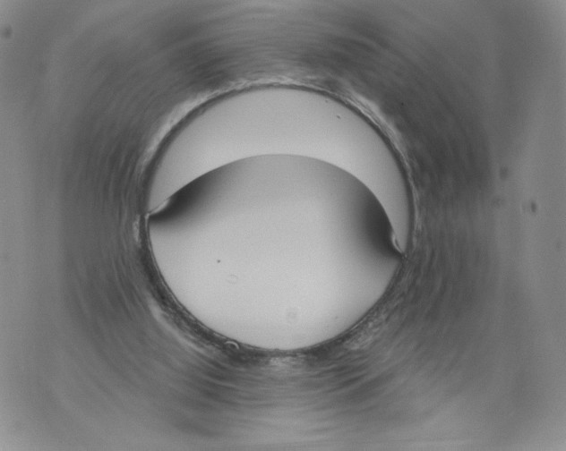 X0000071770060200607282223