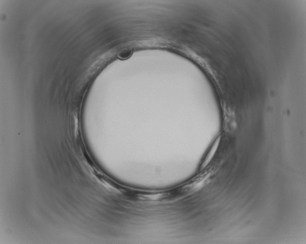 X0000071770061200607282223