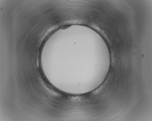 X0000071770062200607282223