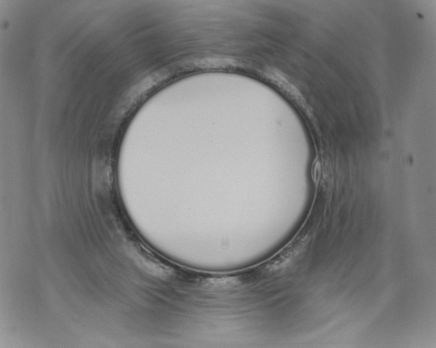 X0000071770063200607282223