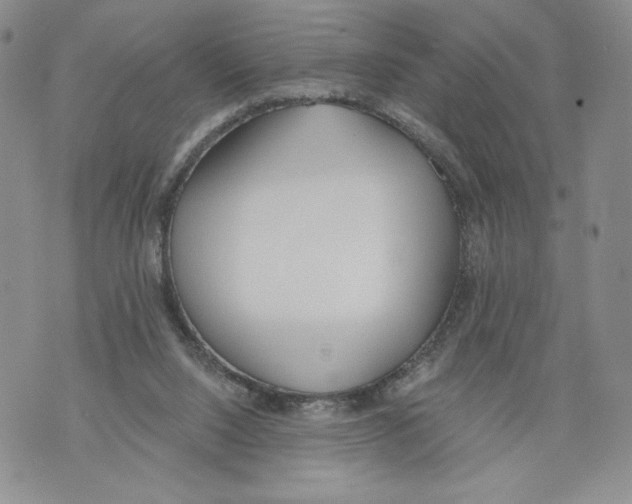 X0000071770064200607282223