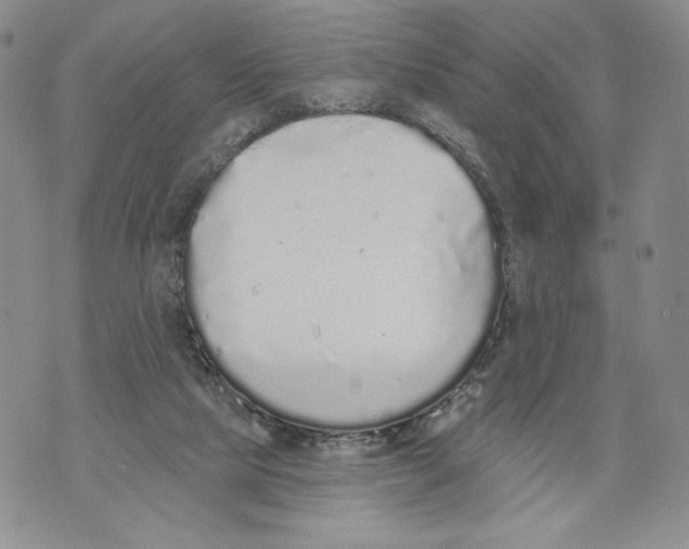 X0000071770065200607282223