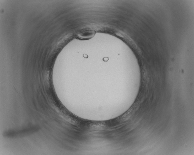 X0000071770066200607282223