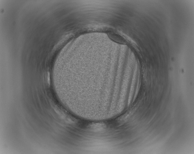 X0000071770067200607282223