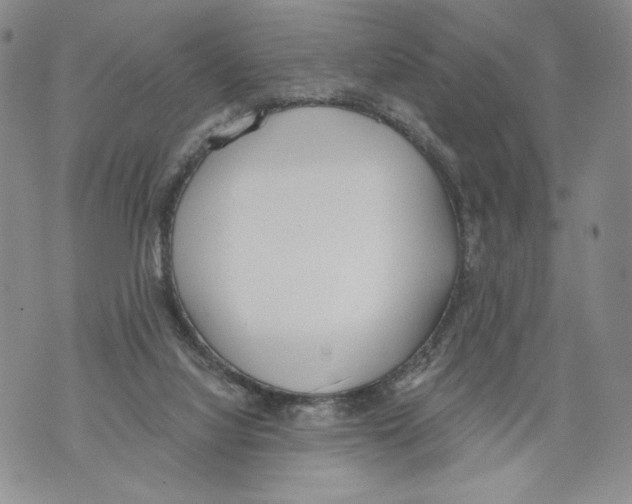 X0000071770068200607282223