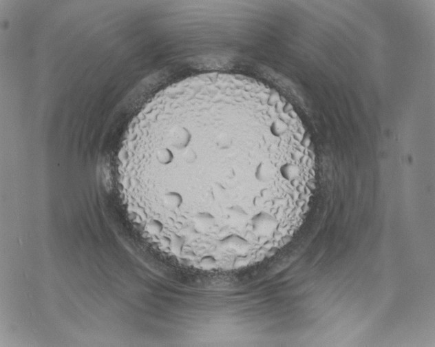 X0000071770069200607282223