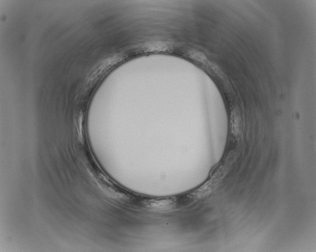 X0000071770070200607282223