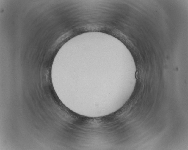 X0000071770071200607282223