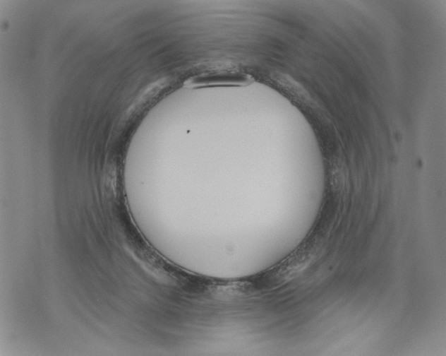 X0000071770072200607282223