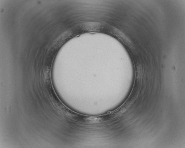 X0000071770073200607282223